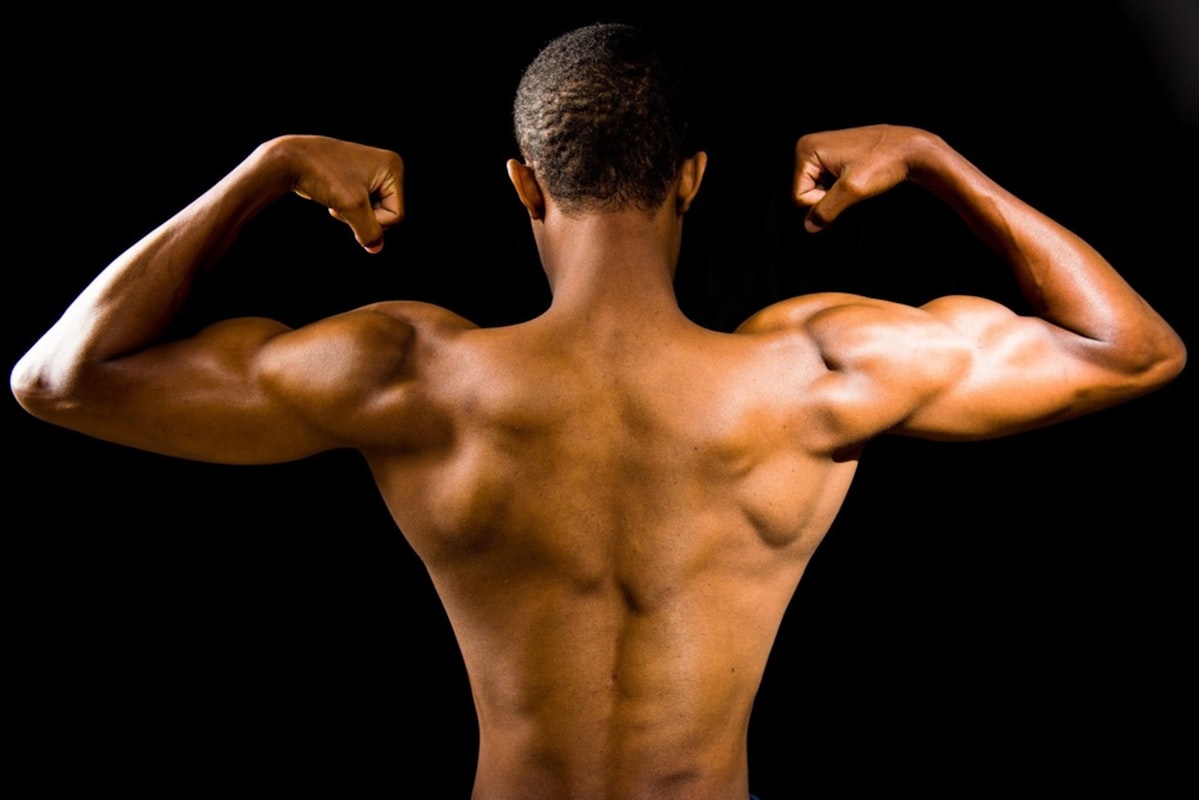 Protein Calculator Guide